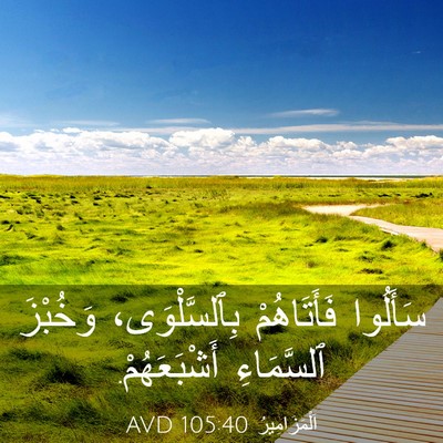 Picture 03 - اَلْمَزَامِيرُ 105:40 AVD - سَأَلُوا فَأَتَاهُمْ - Bible Verse Picture