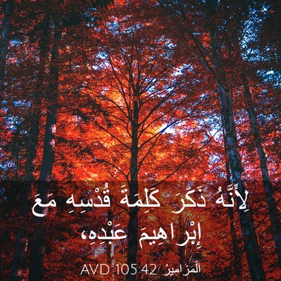 Picture 03 - اَلْمَزَامِيرُ 105:42 AVD - لِأَنَّهُ ذَكَرَ كَلِمَةَ - Bible Verse Picture