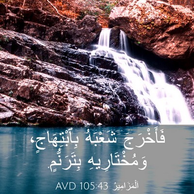 Picture 03 - اَلْمَزَامِيرُ 105:43 AVD - فَأَخْرَجَ شَعْبَهُ - Bible Verse Picture