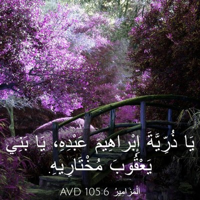 Picture 03 - اَلْمَزَامِيرُ 105:6 AVD - يَا ذُرِّيَّةَ - Bible Verse Picture