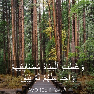 Picture 03 - اَلْمَزَامِيرُ 106:11 AVD - وَغَطَّتِ ٱلْمِيَاهُ - Bible Verse Picture