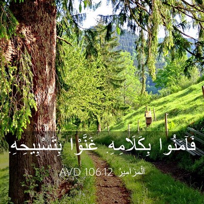 Picture 03 - اَلْمَزَامِيرُ 106:12 AVD - فَآمَنُوا بِكَلَامِهِ. - Bible Verse Picture