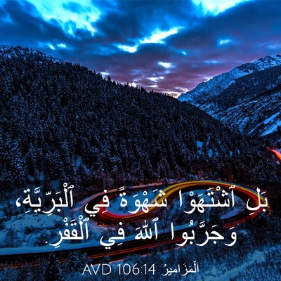 Picture 03 - اَلْمَزَامِيرُ 106:14 AVD - بَلِ ٱشْتَهَوْا شَهْوَةً - Bible Verse Picture