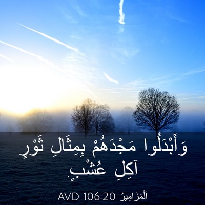 Picture 03 - اَلْمَزَامِيرُ 106:20 AVD - وَأَبْدَلُوا مَجْدَهُمْ - Bible Verse Picture