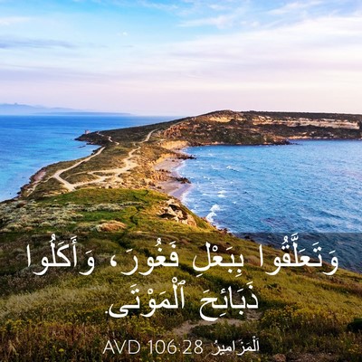 Picture 03 - اَلْمَزَامِيرُ 106:28 AVD - وَتَعَلَّقُوا بِبَعْلِ - Bible Verse Picture