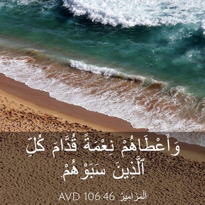 Picture 03 - اَلْمَزَامِيرُ 106:46 AVD - وَأَعْطَاهُمْ نِعْمَةً - Bible Verse Picture