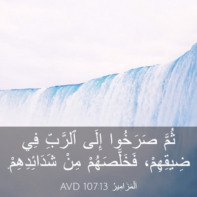 Picture 03 - اَلْمَزَامِيرُ 107:13 AVD - ثُمَّ صَرَخُوا إِلَى - Bible Verse Picture