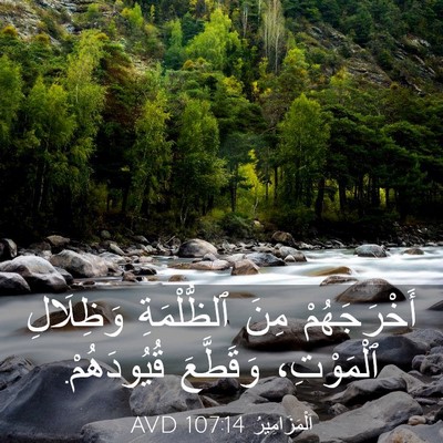 Picture 03 - اَلْمَزَامِيرُ 107:14 AVD - أَخْرَجَهُمْ مِنَ - Bible Verse Picture
