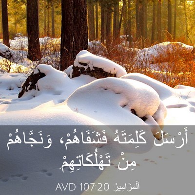 Picture 03 - اَلْمَزَامِيرُ 107:20 AVD - أَرْسَلَ كَلِمَتَهُ - Bible Verse Picture