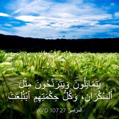 Picture 03 - اَلْمَزَامِيرُ 107:27 AVD - يَتَمَايَلُونَ - Bible Verse Picture