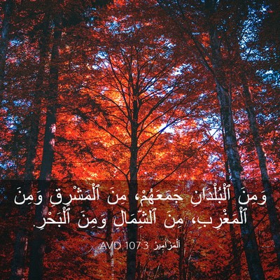 Picture 03 - اَلْمَزَامِيرُ 107:3 AVD - وَمِنَ ٱلْبُلْدَانِ - Bible Verse Picture