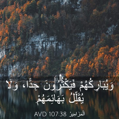 Picture 03 - اَلْمَزَامِيرُ 107:38 AVD - وَيُبَارِكُهُمْ - Bible Verse Picture