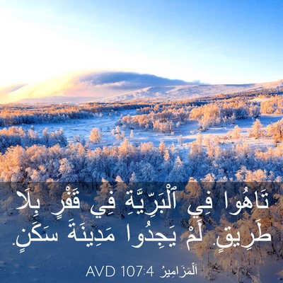 Picture 03 - اَلْمَزَامِيرُ 107:4 AVD - تَاهُوا فِي ٱلْبَرِّيَّةِ - Bible Verse Picture