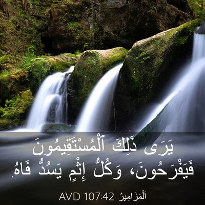 Picture 03 - اَلْمَزَامِيرُ 107:42 AVD - يَرَى ذَلِكَ - Bible Verse Picture