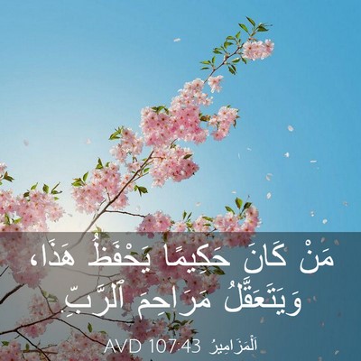 Picture 03 - اَلْمَزَامِيرُ 107:43 AVD - مَنْ كَانَ حَكِيمًا - Bible Verse Picture