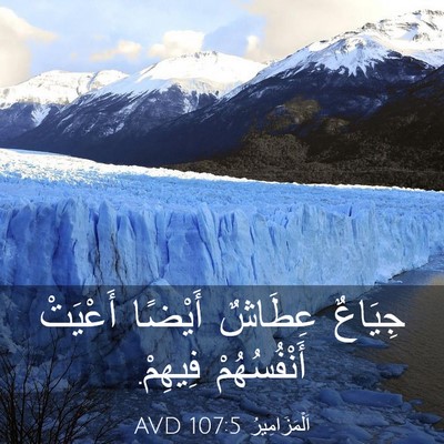 Picture 03 - اَلْمَزَامِيرُ 107:5 AVD - جِيَاعٌ عِطَاشٌ أَيْضًا - Bible Verse Picture