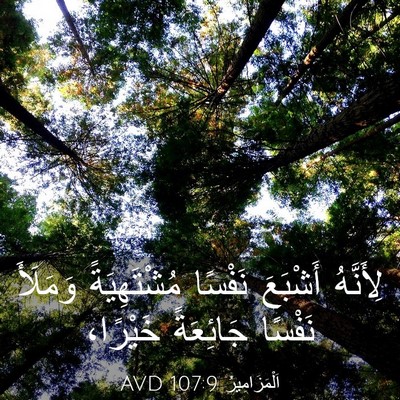 Picture 03 - اَلْمَزَامِيرُ 107:9 AVD - لِأَنَّهُ أَشْبَعَ - Bible Verse Picture