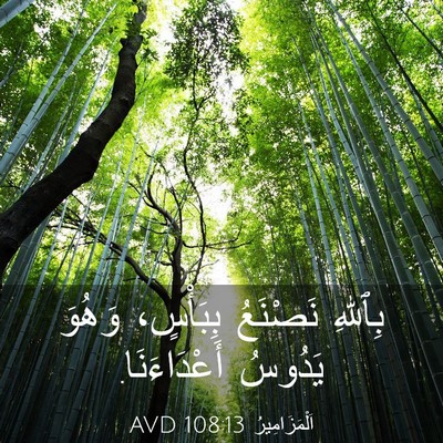 Picture 03 - اَلْمَزَامِيرُ 108:13 AVD - بِٱللهِ نَصْنَعُ - Bible Verse Picture