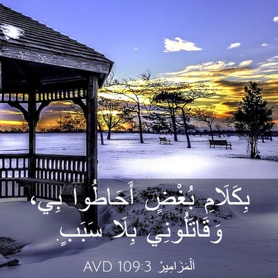 Picture 03 - اَلْمَزَامِيرُ 109:3 AVD - بِكَلَامِ بُغْضٍ - Bible Verse Picture