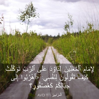Picture 03 - اَلْمَزَامِيرُ 11:1 AVD - لِإِمَامِ ٱلْمُغَنِّينَ. - Bible Verse Picture