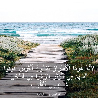 Picture 03 - اَلْمَزَامِيرُ 11:2 AVD - لِأَنَّهُ هُوَذَا - Bible Verse Picture
