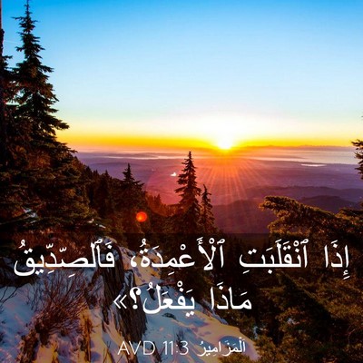 Picture 03 - اَلْمَزَامِيرُ 11:3 AVD - إِذَا ٱنْقَلَبَتِ - Bible Verse Picture