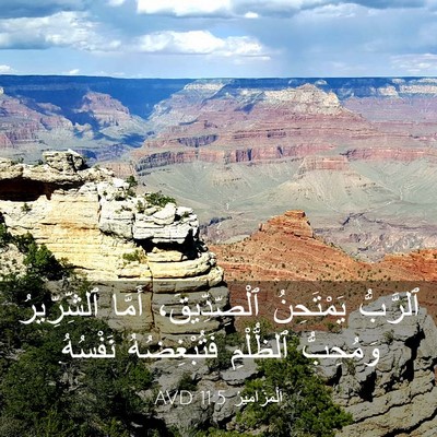 Picture 03 - اَلْمَزَامِيرُ 11:5 AVD - ٱلرَّبُّ يَمْتَحِنُ - Bible Verse Picture