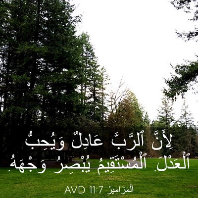Picture 03 - اَلْمَزَامِيرُ 11:7 AVD - لِأَنَّ ٱلرَّبَّ عَادِلٌ - Bible Verse Picture