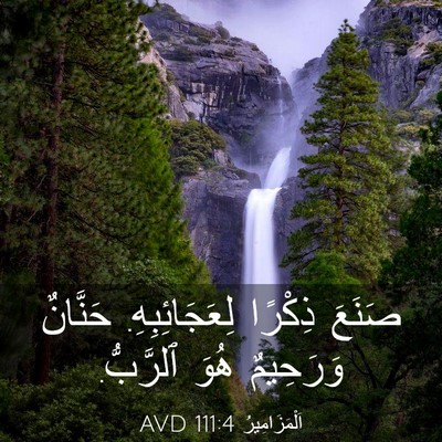 Picture 03 - اَلْمَزَامِيرُ 111:4 AVD - صَنَعَ ذِكْرًا - Bible Verse Picture