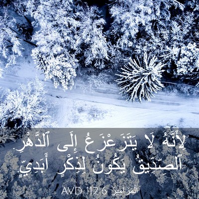 Picture 03 - اَلْمَزَامِيرُ 112:6 AVD - لِأَنَّهُ لَا - Bible Verse Picture