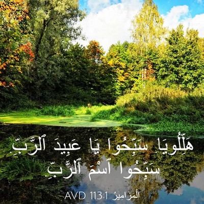Picture 03 - اَلْمَزَامِيرُ 113:1 AVD - هَلِّلُويَا. سَبِّحُوا يَا - Bible Verse Picture