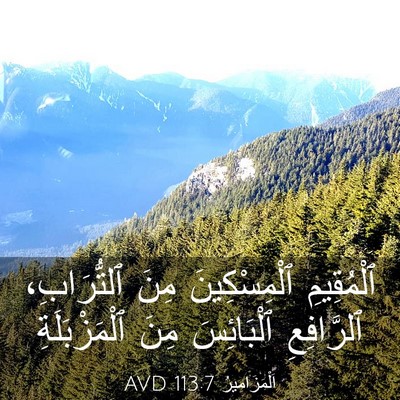 Picture 03 - اَلْمَزَامِيرُ 113:7 AVD - ٱلْمُقِيمِ ٱلْمِسْكِينَ - Bible Verse Picture