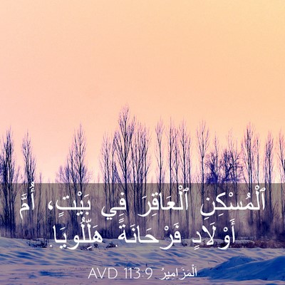 Picture 03 - اَلْمَزَامِيرُ 113:9 AVD - ٱلْمُسْكِنِ ٱلْعَاقِرَ - Bible Verse Picture