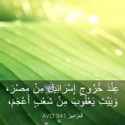Picture 03 - اَلْمَزَامِيرُ 114:1 AVD - عِنْدَ خُرُوجِ - Bible Verse Picture