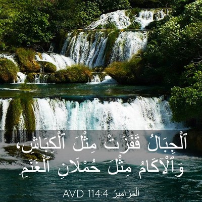 Picture 03 - اَلْمَزَامِيرُ 114:4 AVD - ٱلْجِبَالُ قَفَزَتْ - Bible Verse Picture