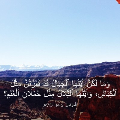 Picture 03 - اَلْمَزَامِيرُ 114:6 AVD - وَمَا لَكُنَّ أَيَّتُهَا - Bible Verse Picture