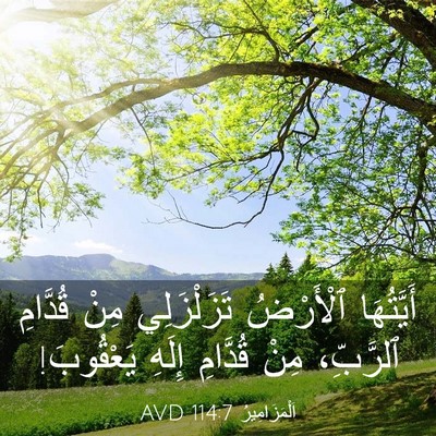 Picture 03 - اَلْمَزَامِيرُ 114:7 AVD - أَيَّتُهَا ٱلْأَرْضُ - Bible Verse Picture