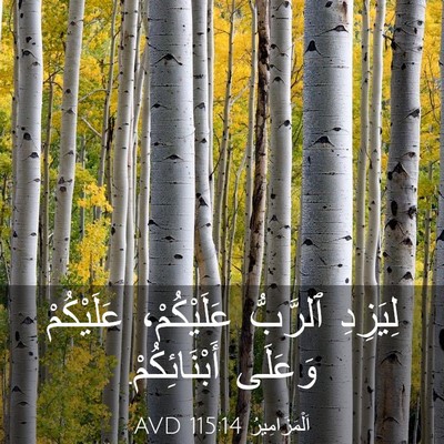 Picture 03 - اَلْمَزَامِيرُ 115:14 AVD - لِيَزِدِ ٱلرَّبُّ - Bible Verse Picture