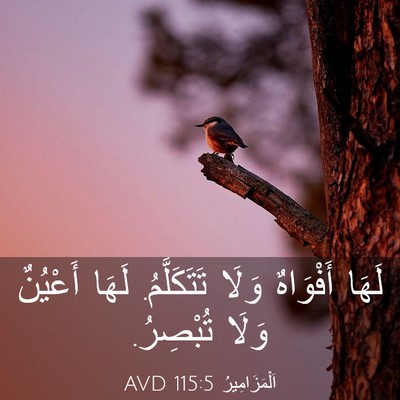 Picture 03 - اَلْمَزَامِيرُ 115:5 AVD - لَهَا أَفْوَاهٌ وَلَا - Bible Verse Picture