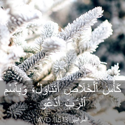 Picture 03 - اَلْمَزَامِيرُ 116:13 AVD - كَأْسَ ٱلْخَلَاصِ - Bible Verse Picture