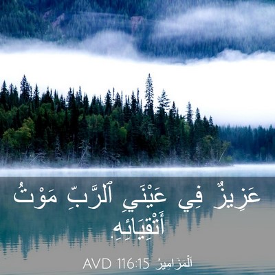 Picture 03 - اَلْمَزَامِيرُ 116:15 AVD - عَزِيزٌ فِي عَيْنَيِ - Bible Verse Picture
