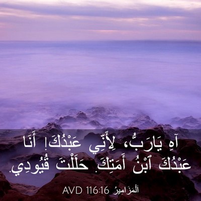 Picture 03 - اَلْمَزَامِيرُ 116:16 AVD - آهِ يَارَبُّ، لِأَنِّي - Bible Verse Picture
