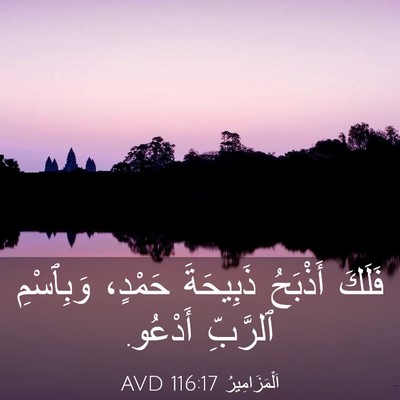 Picture 03 - اَلْمَزَامِيرُ 116:17 AVD - فَلَكَ أَذْبَحُ ذَبِيحَةَ - Bible Verse Picture