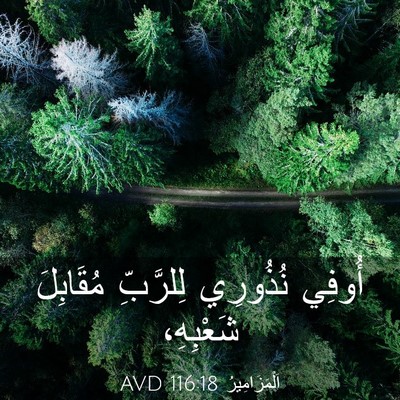 Picture 03 - اَلْمَزَامِيرُ 116:18 AVD - أُوفِي نُذُورِي لِلرَّبِّ - Bible Verse Picture