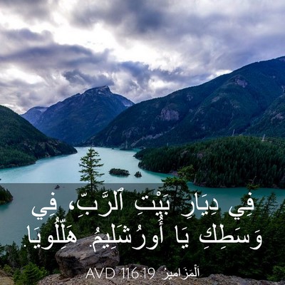 Picture 03 - اَلْمَزَامِيرُ 116:19 AVD - فِي دِيَارِ بَيْتِ - Bible Verse Picture