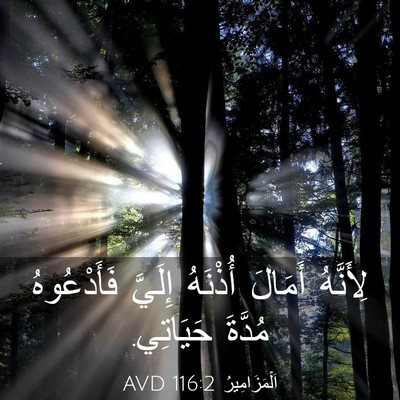 Picture 03 - اَلْمَزَامِيرُ 116:2 AVD - لِأَنَّهُ أَمَالَ - Bible Verse Picture
