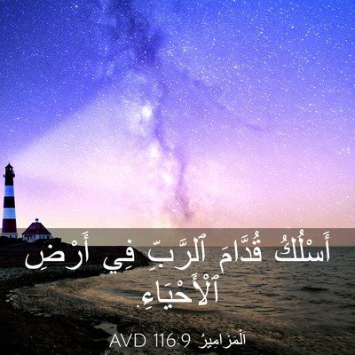 Picture 03 - اَلْمَزَامِيرُ 116:9 AVD - أَسْلُكُ قُدَّامَ - Bible Verse Picture