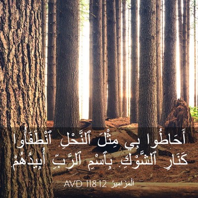 Picture 03 - اَلْمَزَامِيرُ 118:12 AVD - أَحَاطُوا بِي مِثْلَ - Bible Verse Picture