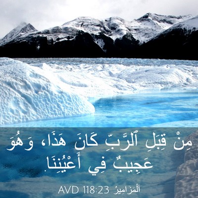 Picture 03 - اَلْمَزَامِيرُ 118:23 AVD - مِنْ قِبَلِ ٱلرَّبِّ كَانَ - Bible Verse Picture