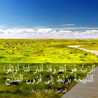 Picture 03 - اَلْمَزَامِيرُ 118:27 AVD - ٱلرَّبُّ هُوَ ٱللهُ وَقَدْ - Bible Verse Picture